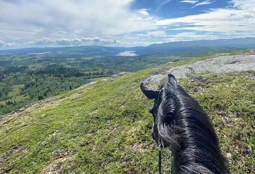 Spåtind Fjellhotell