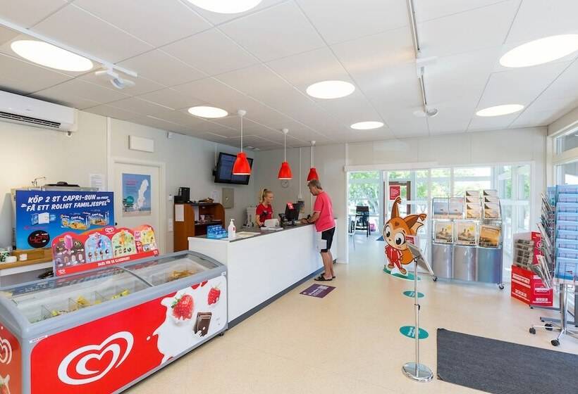 First Camp Nora Bergslagen