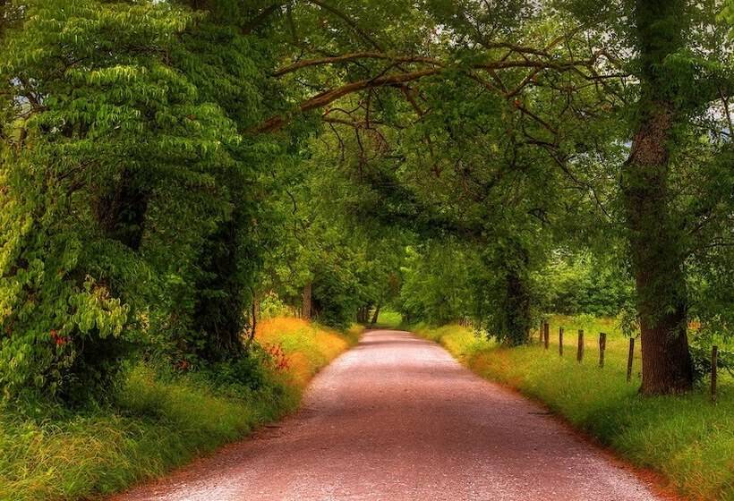 فندق Holiday Inn & Suites Pigeon Forge Convention Center, An Ihg