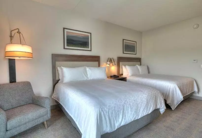 Hotelli Holiday Inn & Suites Pigeon Forge Convention Center, An Ihg