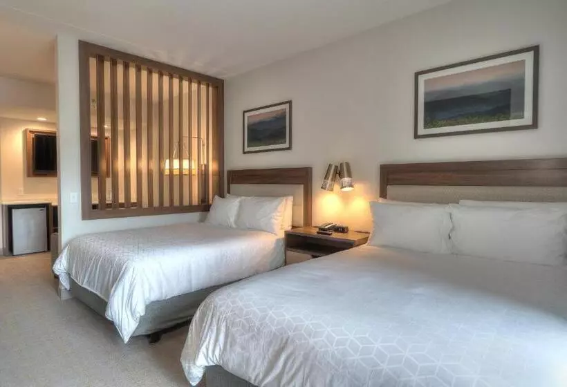 Hotelli Holiday Inn & Suites Pigeon Forge Convention Center, An Ihg