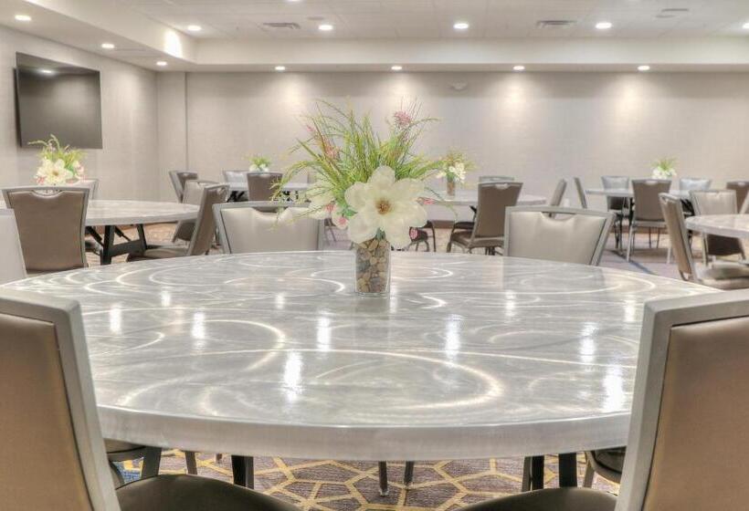 فندق Holiday Inn & Suites Pigeon Forge Convention Center, An Ihg