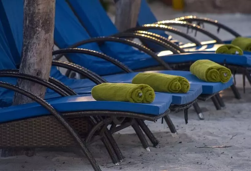 ホテル Kusini Beach Villas