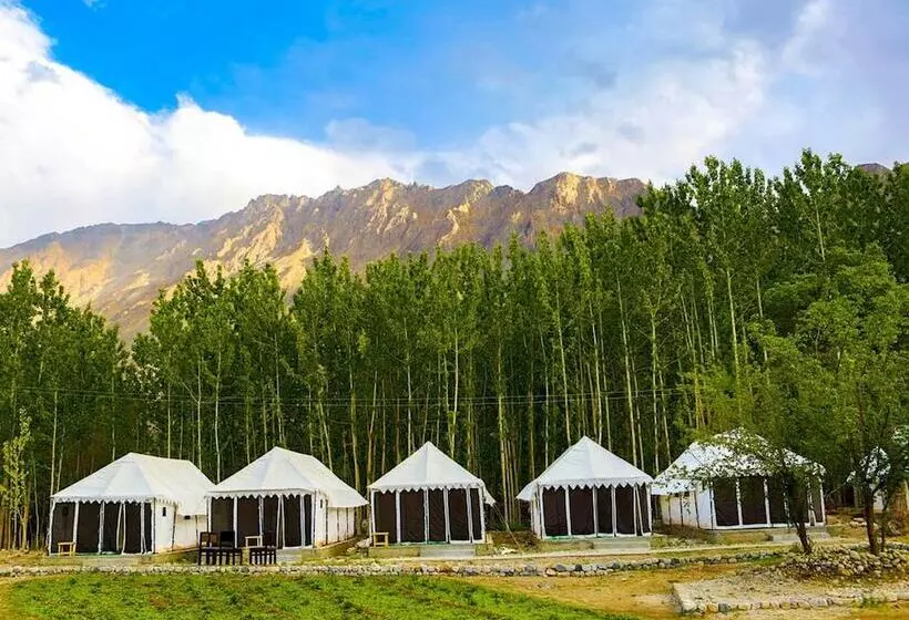 ホテル Ladakh Tarrain Camp