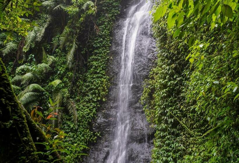 בית מלון כפרי Oyo 90915 Eco Tourism Desa Cihanjuang Rahayu Ciwangun Indah Camp Villas