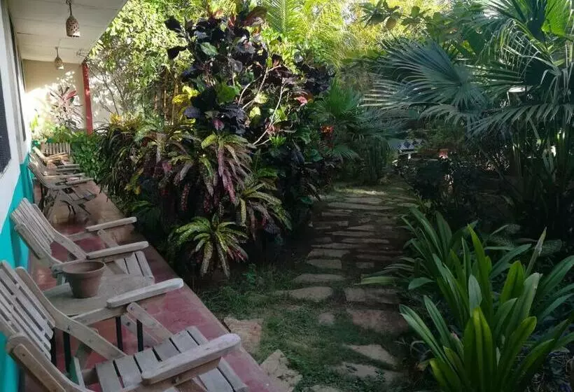 پانسیون Hostal Harvest House