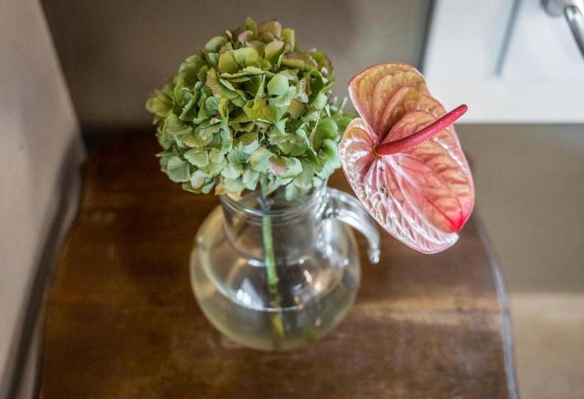 Bed and Breakfast La Casa Di Valeria   Modena