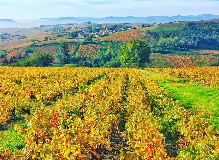 Aamiaismajoitus (B&B) La Suite