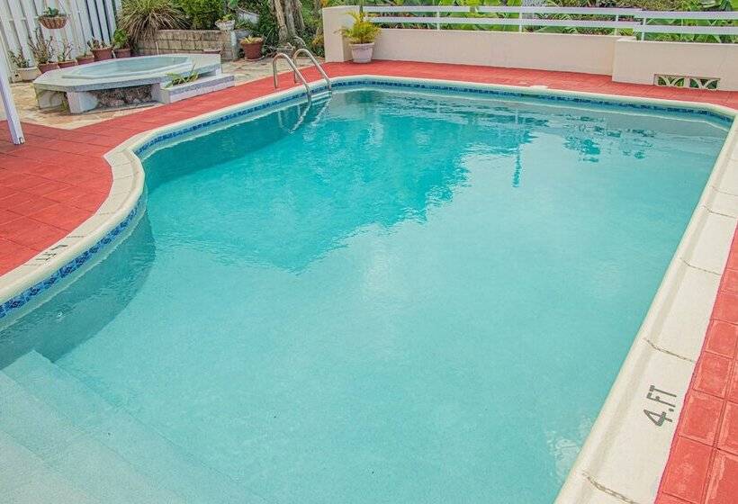 پانسیون The Whytehouse Villa