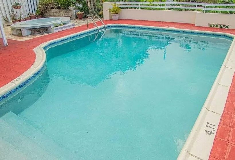 پانسیون The Whytehouse Villa