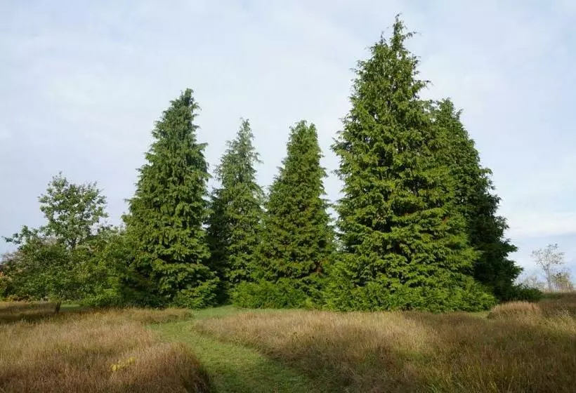 ベッドアンドブレックファースト La Montagne Sud