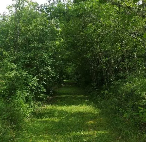 ベッドアンドブレックファースト La Montagne Sud