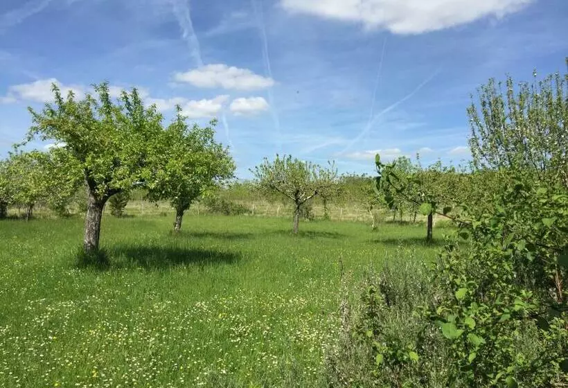 ベッドアンドブレックファースト La Montagne Sud