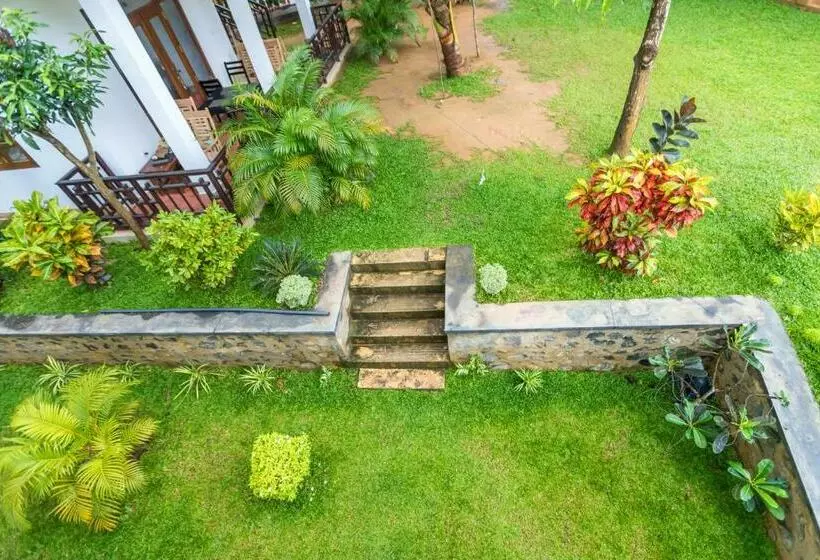 Lomakeskus Shine Wave Turtle Beach