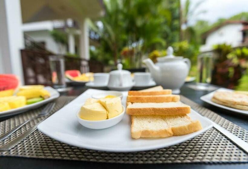 Resort Shine Wave Turtle Beach