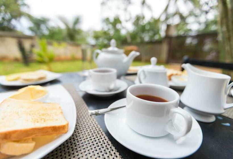 Resort Shine Wave Turtle Beach