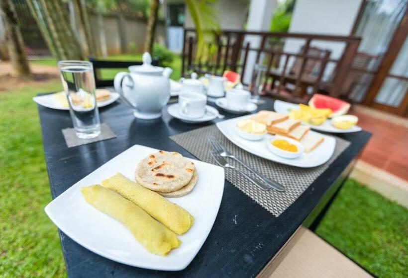 Resort Shine Wave Turtle Beach