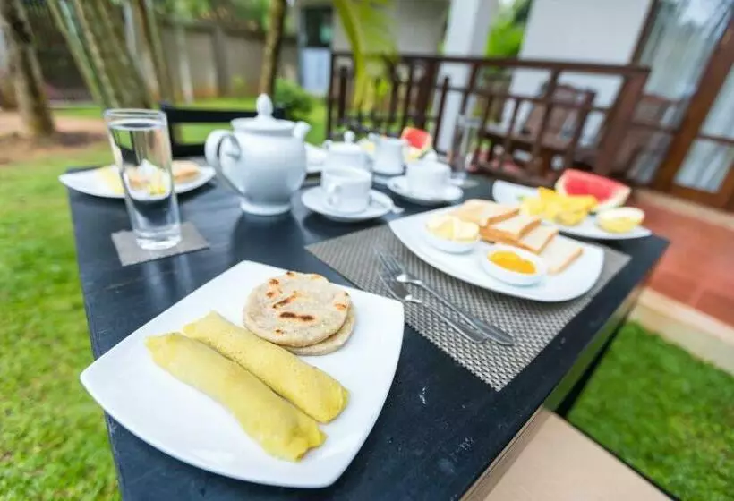 Lomakeskus Shine Wave Turtle Beach