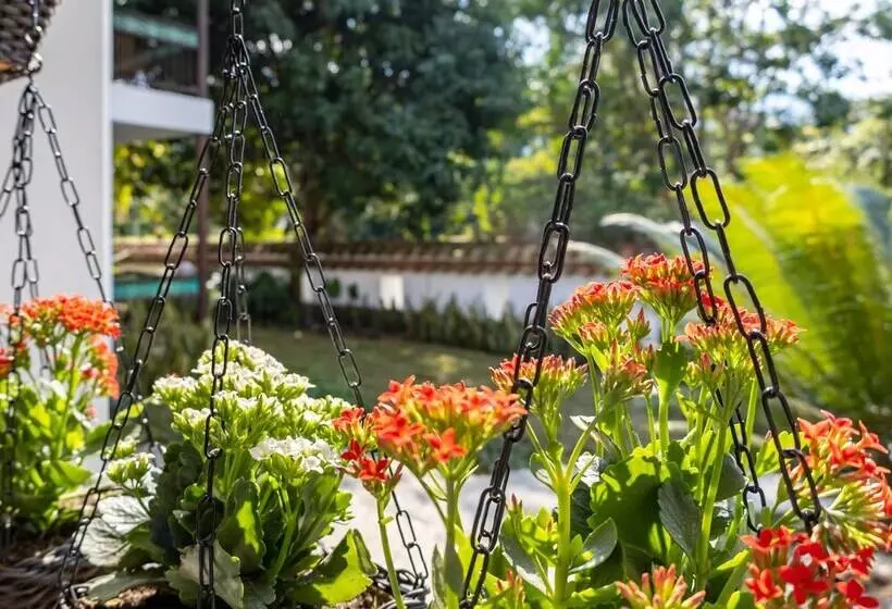 Casa Jacaranda Hotel Boutique