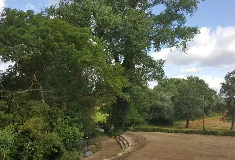 هتل Hilleringmann