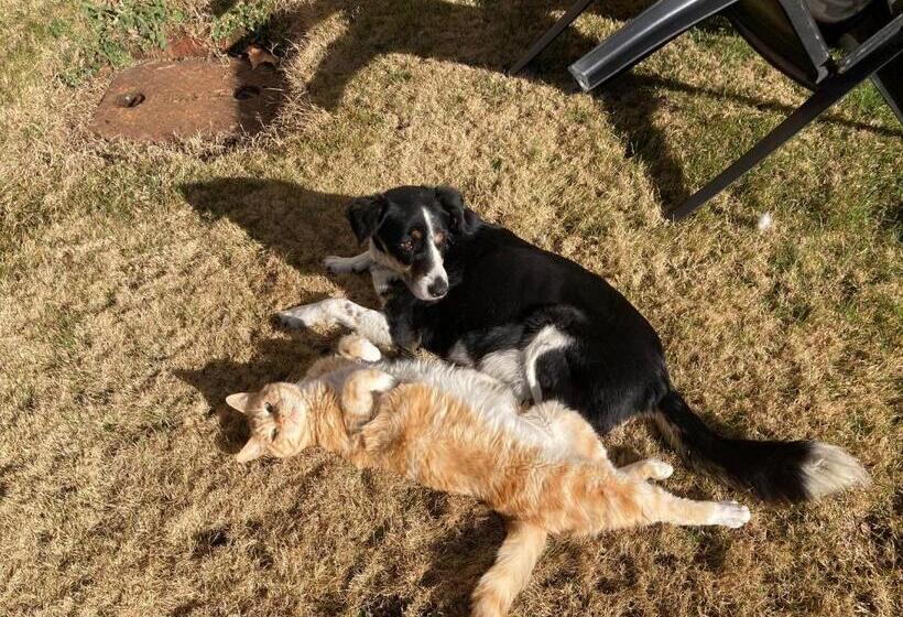 بنسيون Old Mill Inn