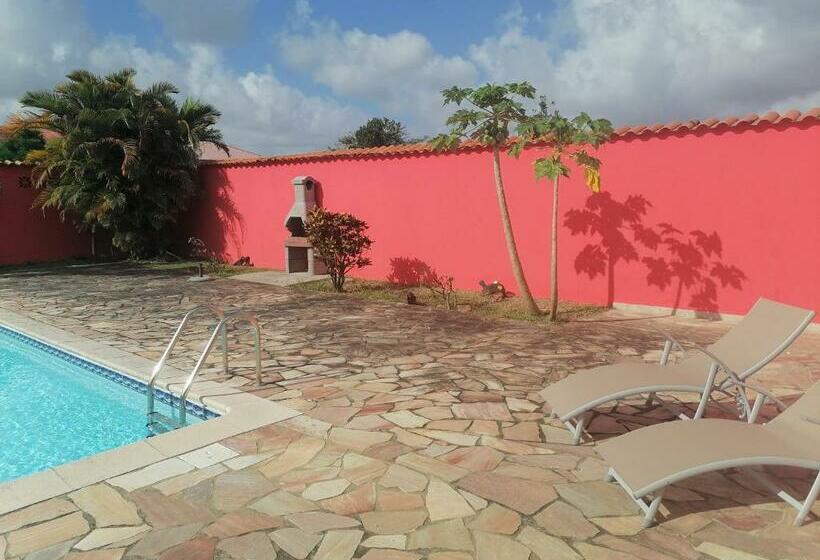 Pensionat Studio Neuf, Piscine Et Carbet à La Villa Pierre