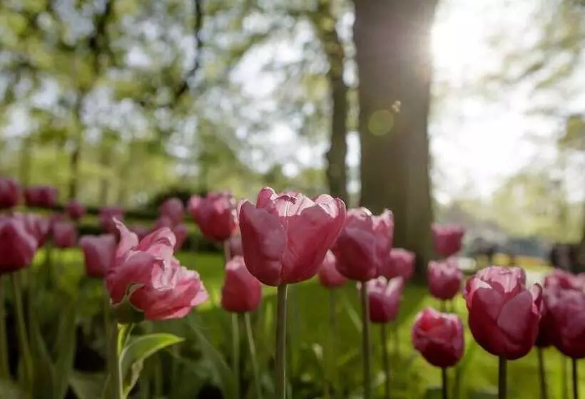 City Hotel Nieuw Minerva Leiden