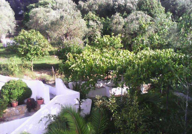 فندق Dina S Rooms