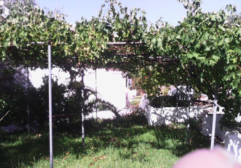 فندق Dina S Rooms