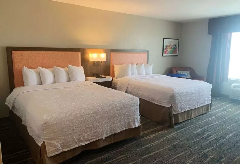 ホテル Hampton Inn & Suites Selma San Antonio Randolph Afb Texas