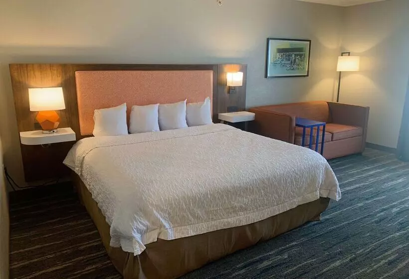 ホテル Hampton Inn & Suites Selma San Antonio Randolph Afb Texas