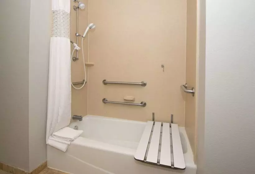 ホテル Hampton Inn & Suites Selma San Antonio Randolph Afb Texas