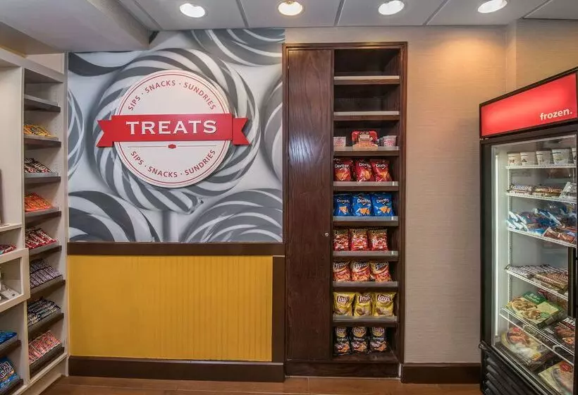 ホテル Hampton Inn & Suites Selma San Antonio Randolph Afb Texas