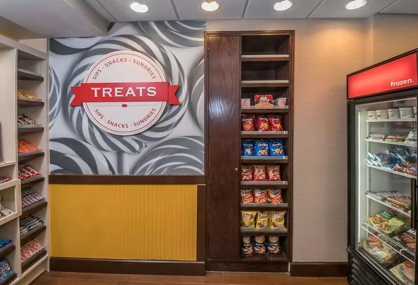 ホテル Hampton Inn & Suites Selma San Antonio Randolph Afb Texas