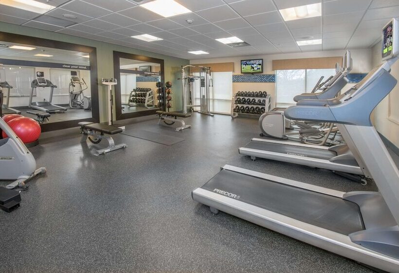 هتل Hampton Inn & Suites Selma San Antonio Randolph Afb Texas