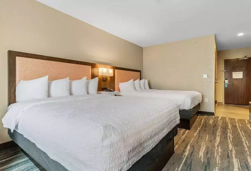 ホテル Hampton Inn & Suites Selma San Antonio Randolph Afb Texas