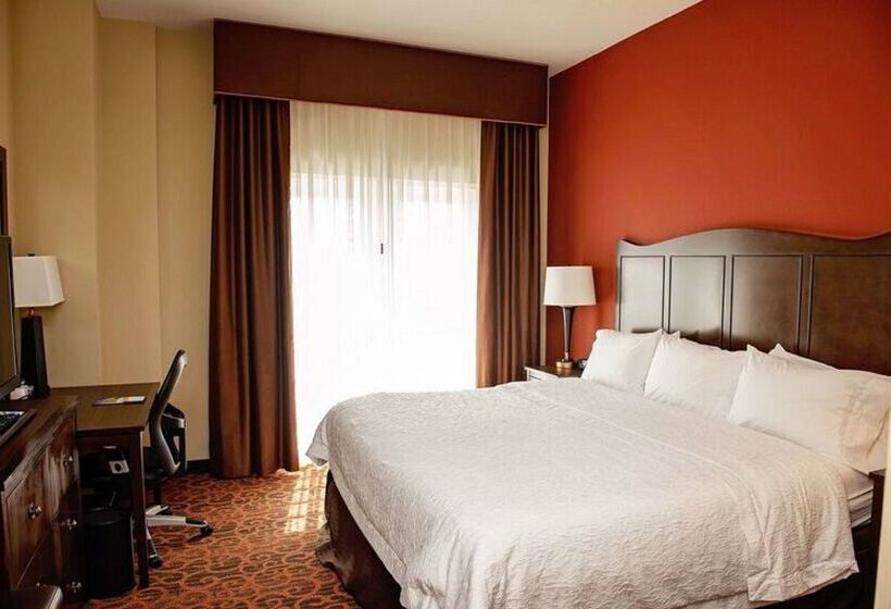 ホテル Hampton Inn & Suites Bradenton Downtown Historic District