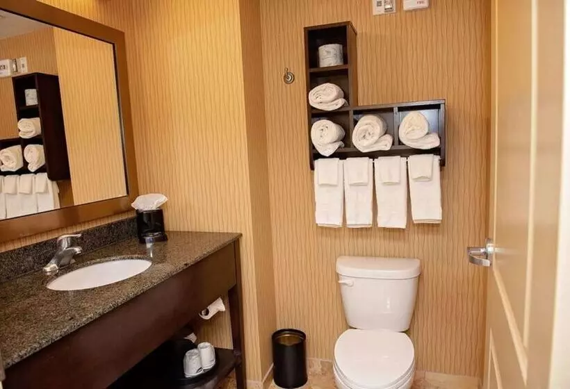 호텔 Hampton Inn & Suites Bradenton Downtown Historic District