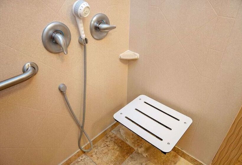 ホテル Hampton Inn & Suites Bradenton Downtown Historic District