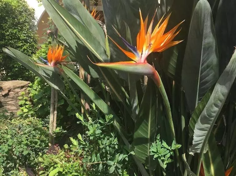 בית מלון כפרי Ilena