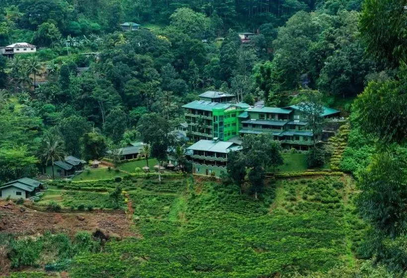 호텔 Ramboda Falls