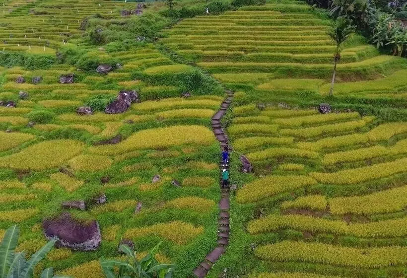 호텔 Ramboda Falls