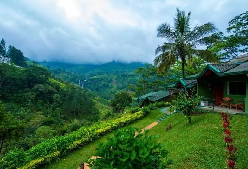 호텔 Ramboda Falls