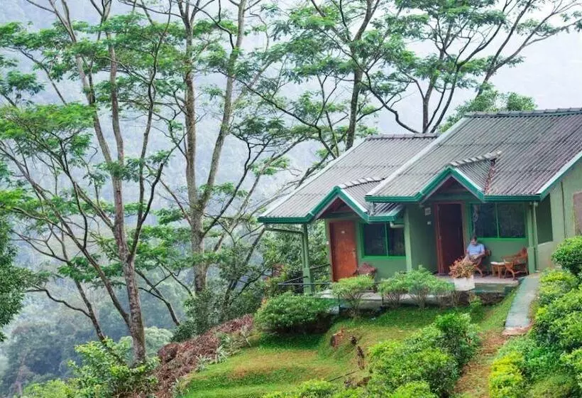 호텔 Ramboda Falls