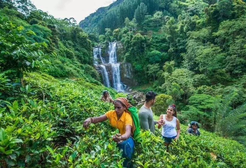 호텔 Ramboda Falls