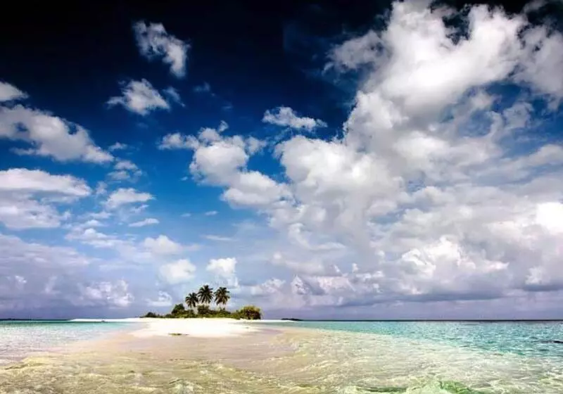 پانسیون House Clover