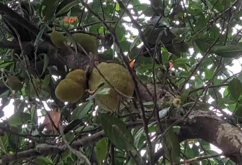 Retkeilymaja Silver Oak By Exuberance Stays