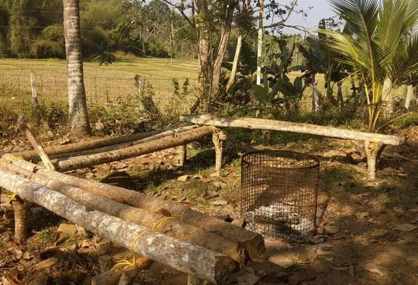 Retkeilymaja Silver Oak By Exuberance Stays