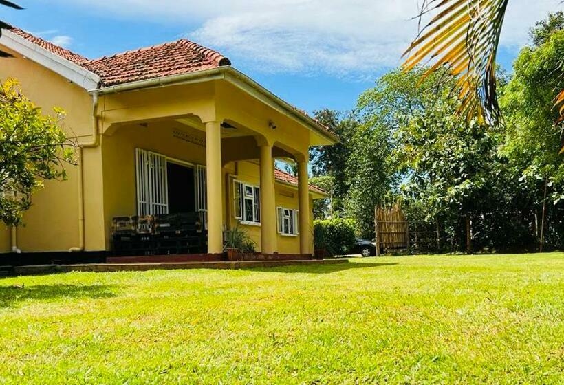 تختخواب و صبحانه Buutu Nest