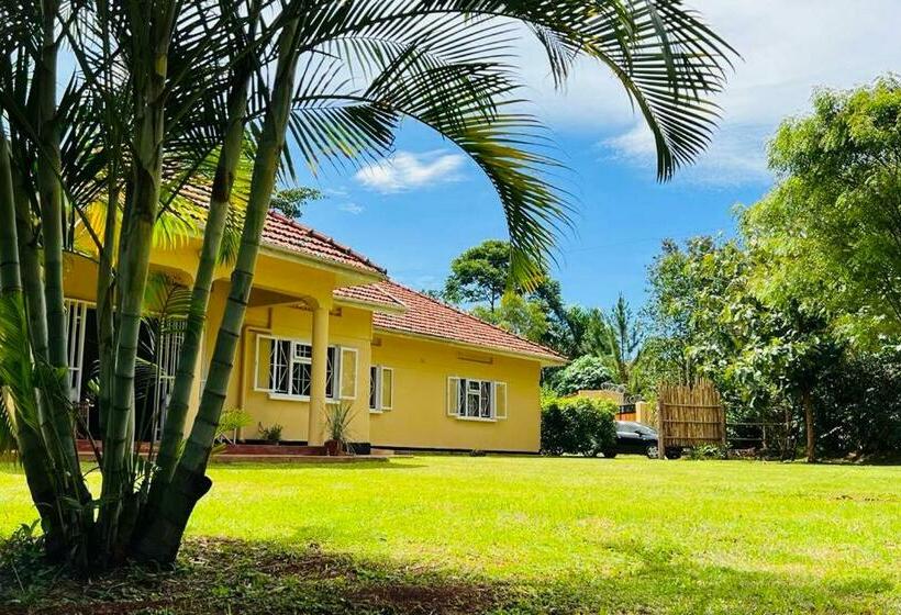 تختخواب و صبحانه Buutu Nest